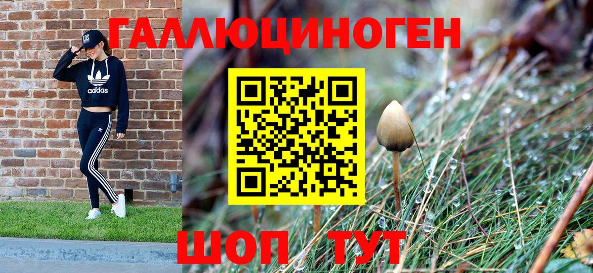 Елец  Галлюциногенные грибы мухоморы  Галлюциногенные грибы MAGIC MUSHROOMS  Вход с VPN 